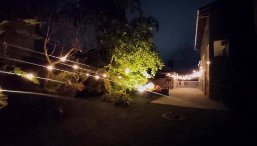 Casa Nativa BC - Foto 2