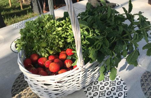 Domek Walentinki - Foto 45