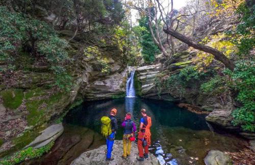 Villa Fiamegou Andros - Foto 54