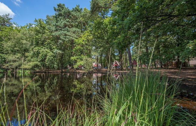 Bungalow in Bospark 't Wolfsven Near Nature - Photo 12