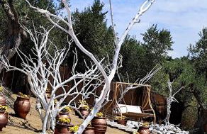 Cozy House with Amazing View and Unique Outdoor! - Foto 34