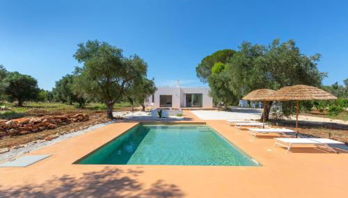 3538 Villa Sylvia by Perle di Puglia - Photo 5, Garden