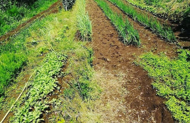 Agriturismo Castanito - Foto 59