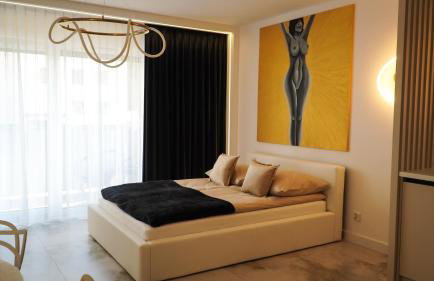 In&cognito Apartments Szamotuły with Parking and WiFi - Foto 15