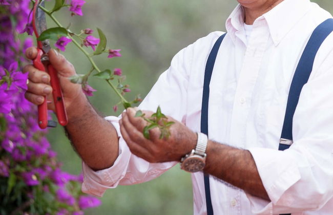 Stylish Villa With Private Swimming Pool - Foto 25