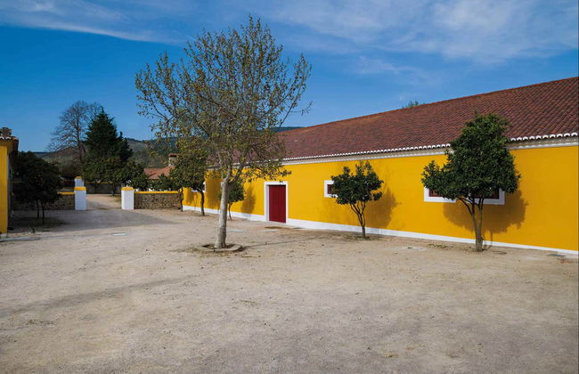 Visita a la bodega Quinta da Fonte Souto - Foto 4