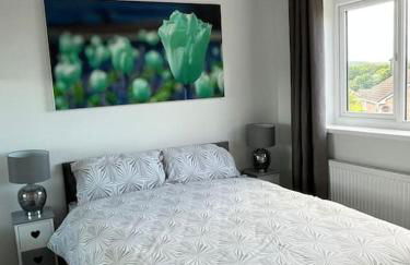 Blissful Barrys - Foto 7