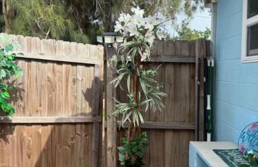 Studio Yunet - Foto 58