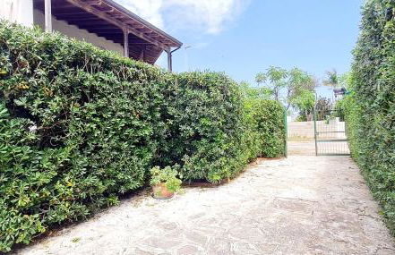 Villa Aeonium - Foto 56