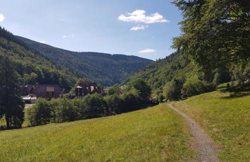 Haus am Rotwiesenbach - Photo 42
