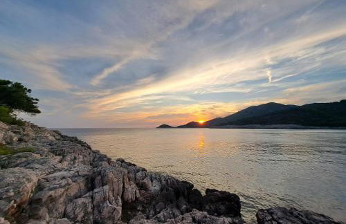 Apartments Franić - Photo 2