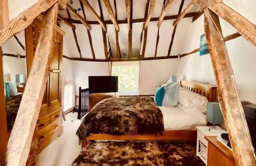 The Nutshell - Foto 21