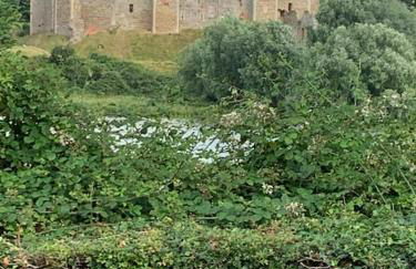 Potters Brook - Foto 31