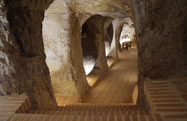 Casas de Valois - Photo 44