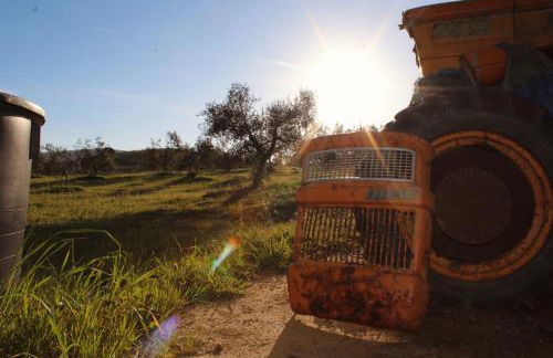 Agricampeggio La Piaggia - Agriturismo - Foto 18