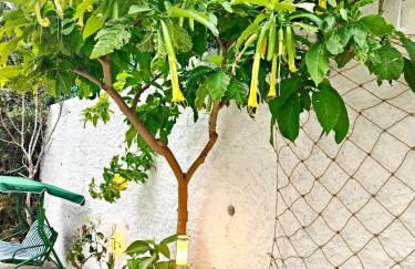 AlisHome, Sanremo - Foto 70