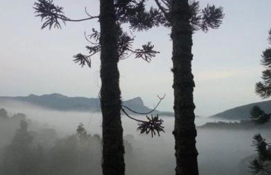 Chalé anjico - Foto 30