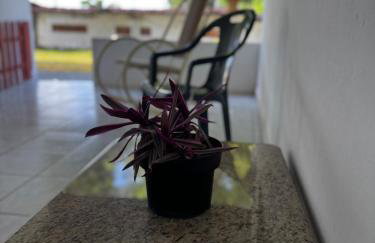 Casa Alegria - Praia de Catuama -PE - Foto 19