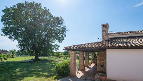 House Boris - Foto 5, Garden view