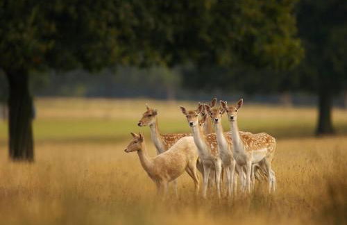 1 Bed in Methven oc-v30533 - Photo 23