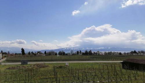 Haus Agatha - Foto 5