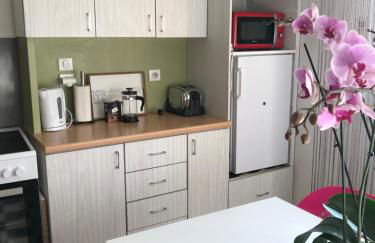 Bel Appartement near Bâle Mulhouse Airport - Foto 20