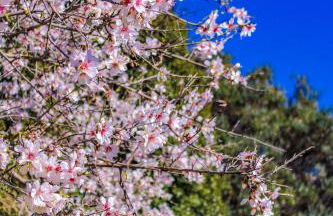 Agriturismo Sa Tanca Noa - Photo 25
