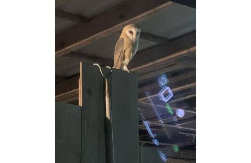 Deichhasenhof Comfortable holiday residence - Foto 18