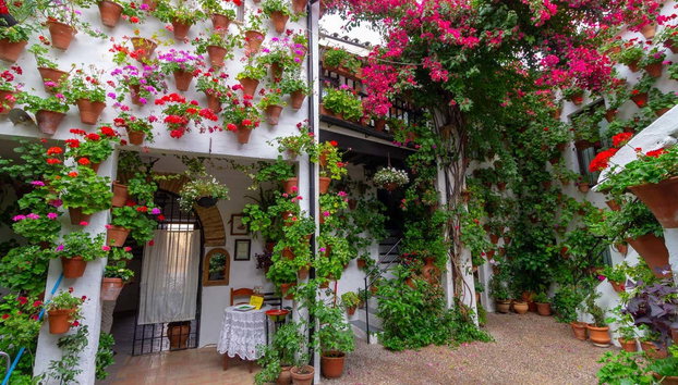 Entrada a los Patios de Córdoba - Foto 4, Bello patio cordobés