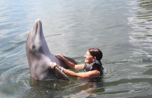 Tropical Daze Oceanfront Paradise - Foto 12