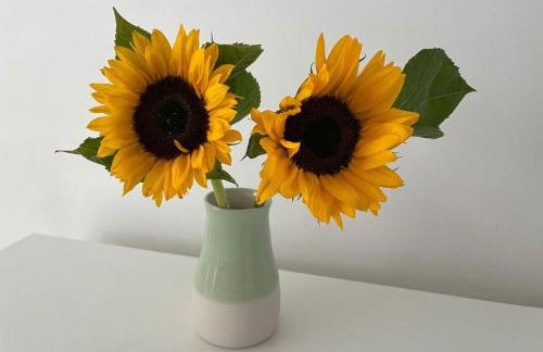 Whitstable The Jolly - Foto 28