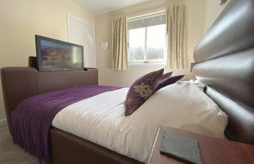 Treetops - Bright 2 Bed Flat - Super Location - Photo 8