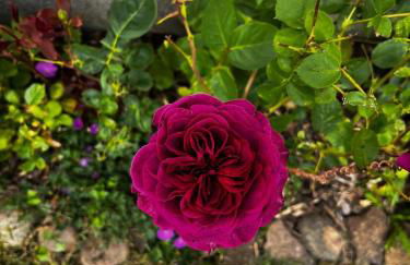 Ferienwohnung an der Ostsee - Foto 21