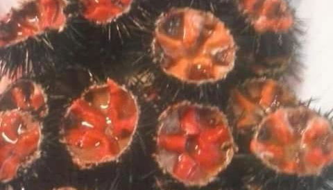 appartamenti del pescatore - Foto 4