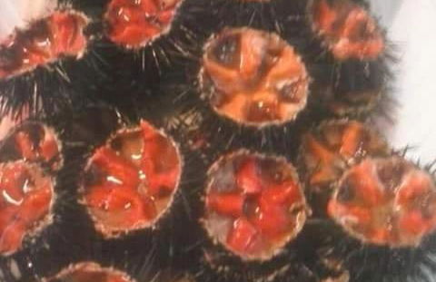 appartamenti del pescatore - Foto 4