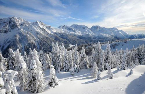 Il Raponzolo di Roccia - Foto 33