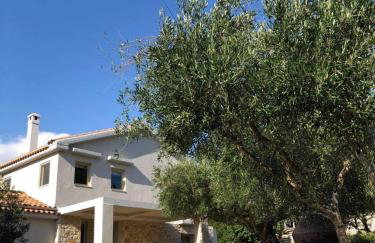 Villa Lithia - Foto 12