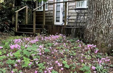 The Tiny Ottoman Farmhouse in Rural Somerset - Foto 3