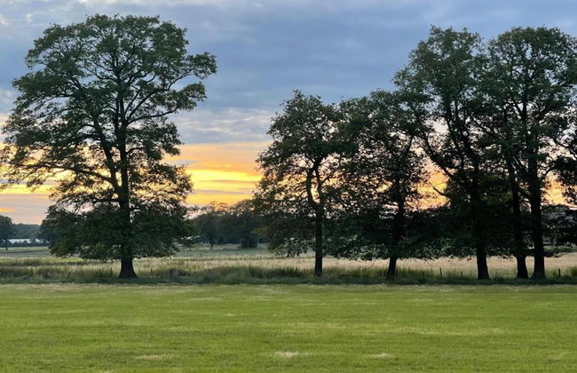 House on Water, Surrounded by Nature - Photo 18