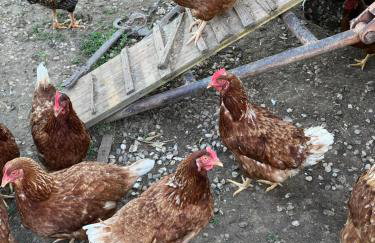 Agriturismo Corte Cea - Foto 2