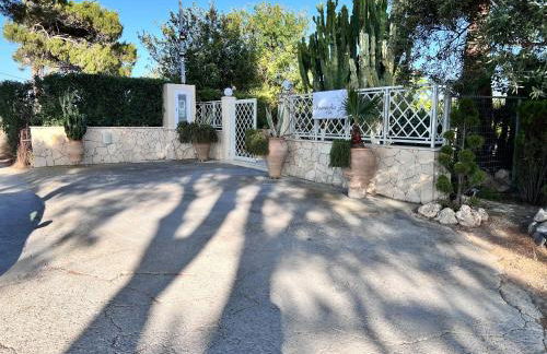 Stamnelia Villa - Photo 64