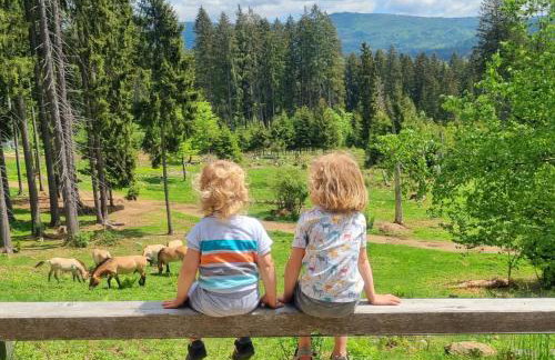 Apartment am Nationalpark Bayerwald - Foto 32