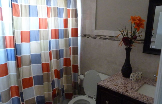 Taste of Paradise - Foto 18