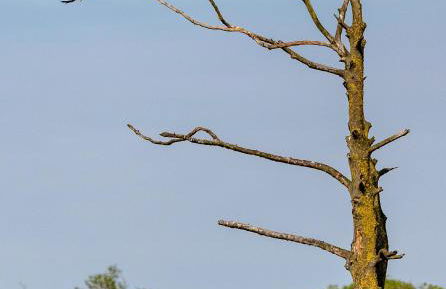 Haus an der Peene - Foto 11