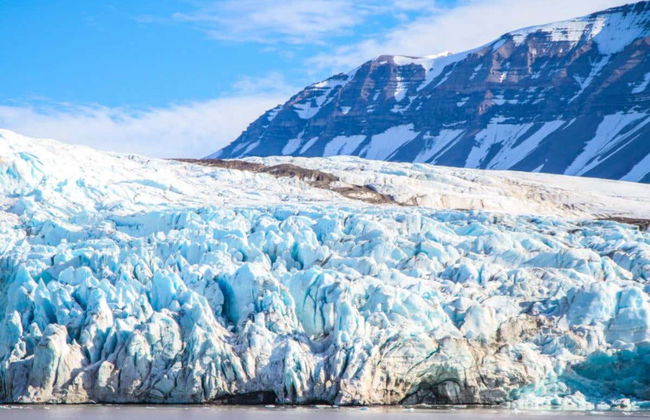Visita al ghiacciaio Portage e al Centro Conservazione Wildlife - Foto 3