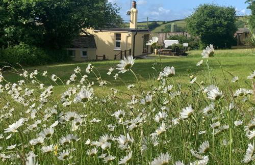 Clotted Cream Cottage Countryside calm Close to beach Dartmouth Dog Friendly - Foto 49