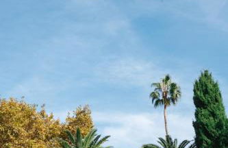 Picasso Premium Apartment - Photo 74