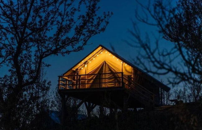 Gora Glamping - Photo 12