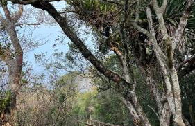 Apartamento aconchegante perto do mar - Photo 11