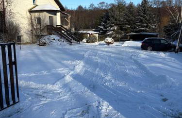 Chata Stołowa - Game Room - Bilard, SimRacing, Arcade - Foto 57